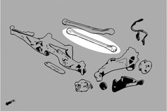 Hardrace F55 F56 F57 Adjustable Rear Lower Control Arms - Pillowball